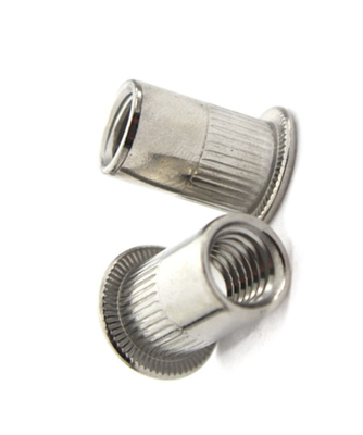 China High Hardness Flat Head Rivet Nut Corrosion Resistance ISO Certification supplier